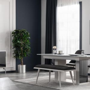 300-300-urun-delon-yemek-odasi-takimi-03-jpg