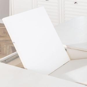 300-300-51c321fb-e57c-471a-8742-ac591d1ce81e-jpg